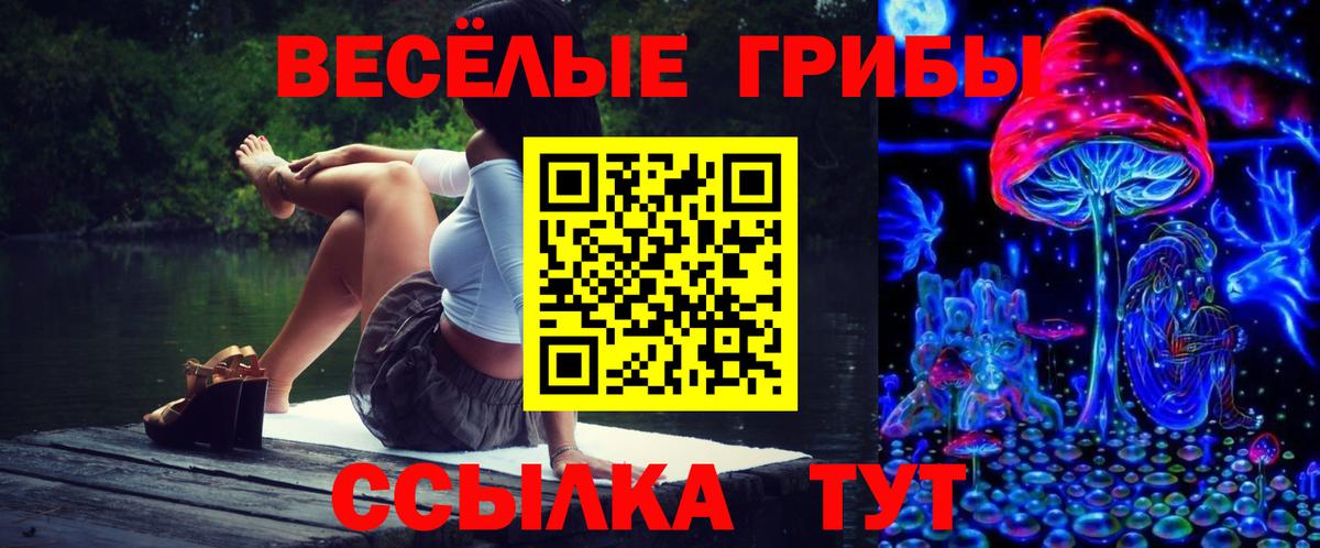 Псилоцибиновые грибы прущие грибы Сарапул